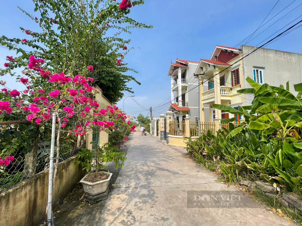 Con đường hoa “vạn người mê” ở tổ dân phố kiểu mẫu thị trấn Ninh Cường (Nam Định) - Ảnh 8.