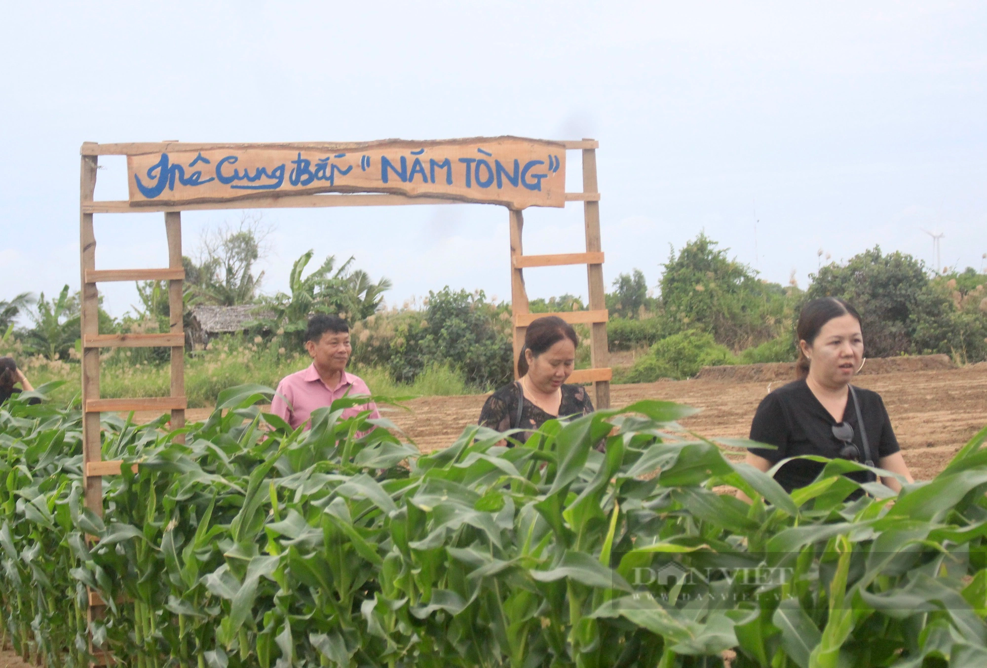 Du khách thích mê trồng hành, đào khoai lang, ăn bánh lá ở Trà Vinh - Ảnh 7.