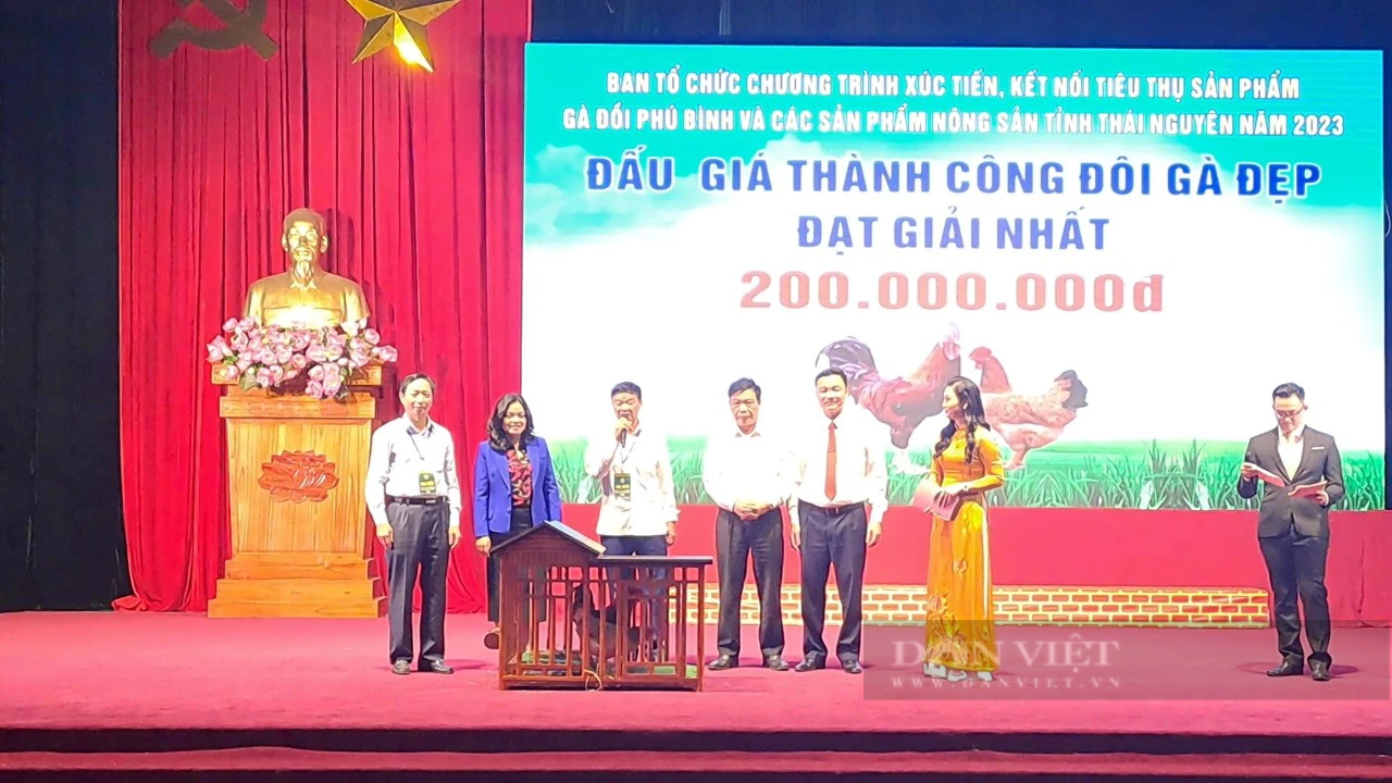 Thái Nguyên: Mãn nhãn với hàng trăm món ẩm thực độc đáo chế biến từ gà đồi Phú Bình - Ảnh 7.