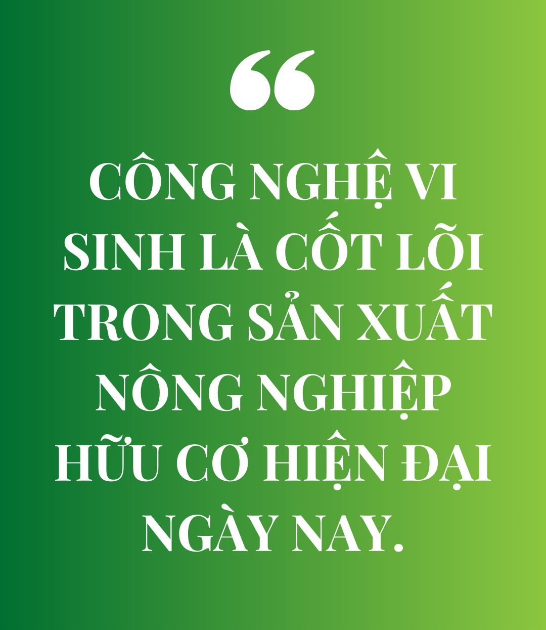 NÔNG NGHIỆP CÔNG NGHỆ CAO: Công nghệ vi sinh đưa rau hữu cơ giá phải chăng đến tay người tiêu dùng - Ảnh 3.