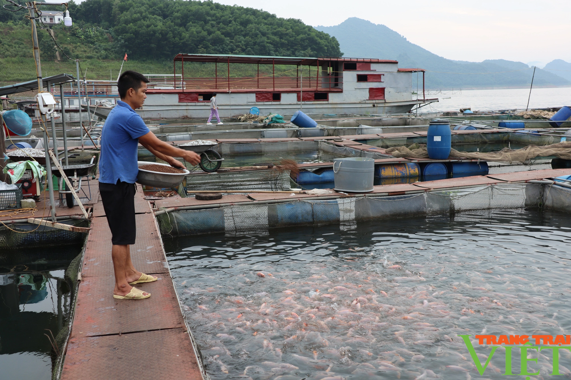 Hòa Bình phát triển bền vững nuôi trồng thủy sản  - Ảnh 3.