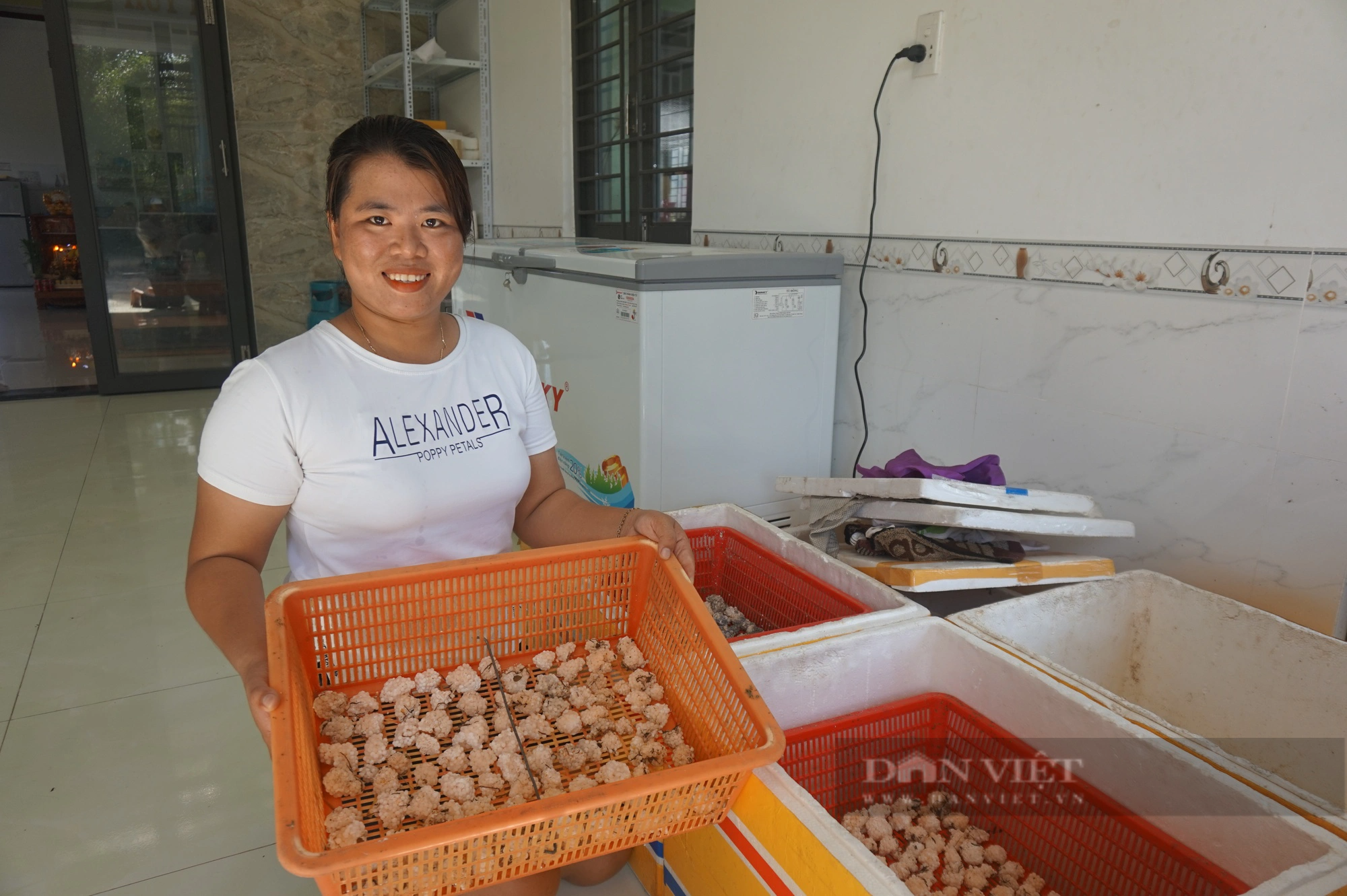 Nuôi con đặc sản, 9X Quảng Nam “biến” ruộng sen thành ruộng vàng, giàu lên trông thấy - Ảnh 5.