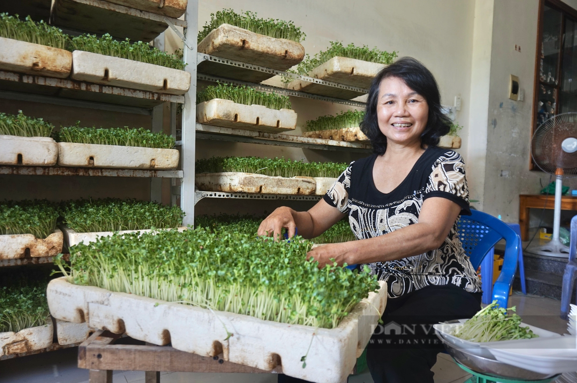 Đà Nẵng: Trồng rau không cần đất, một nông dân thu lãi 15 triệu đồng mỗi tháng - Ảnh 5.