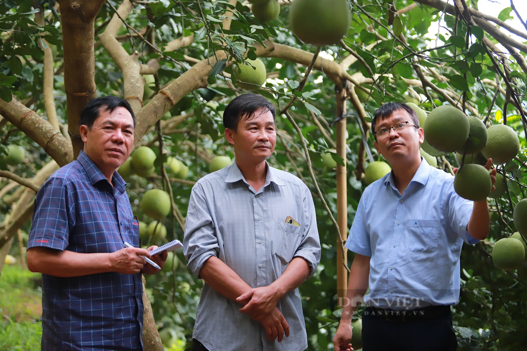 Phó Chủ tịch Hội NDVN Bùi Thị Thơm: Giải báo chí về nông nghiệp, nông dân, nông thôn có sức lan tỏa chưa từng thấy- Ảnh 4.