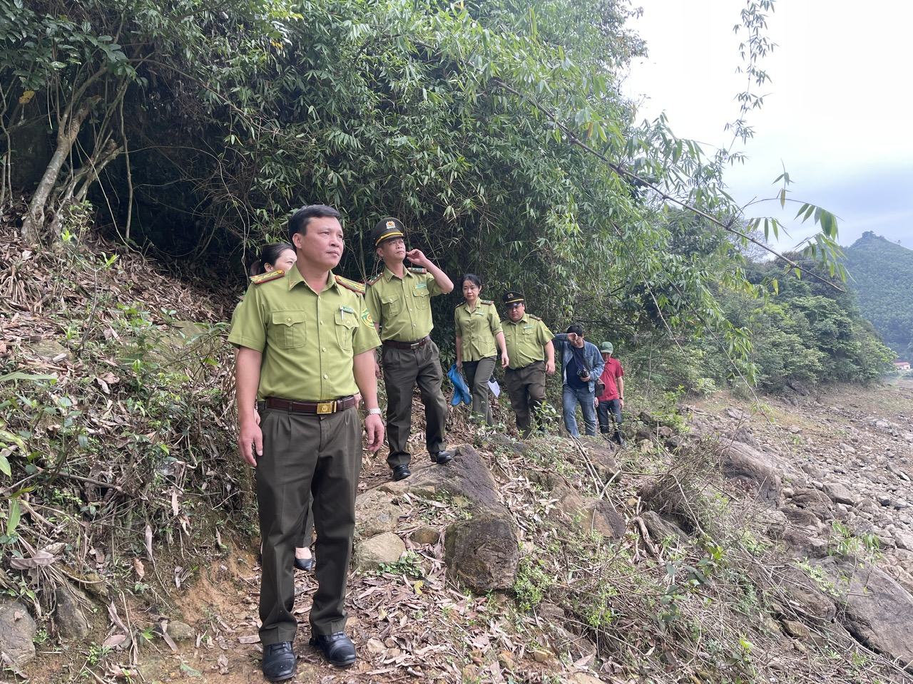 Thái Nguyên: Tăng cường công tác quản lý, bảo vệ rừng năm 2023 - Ảnh 1.