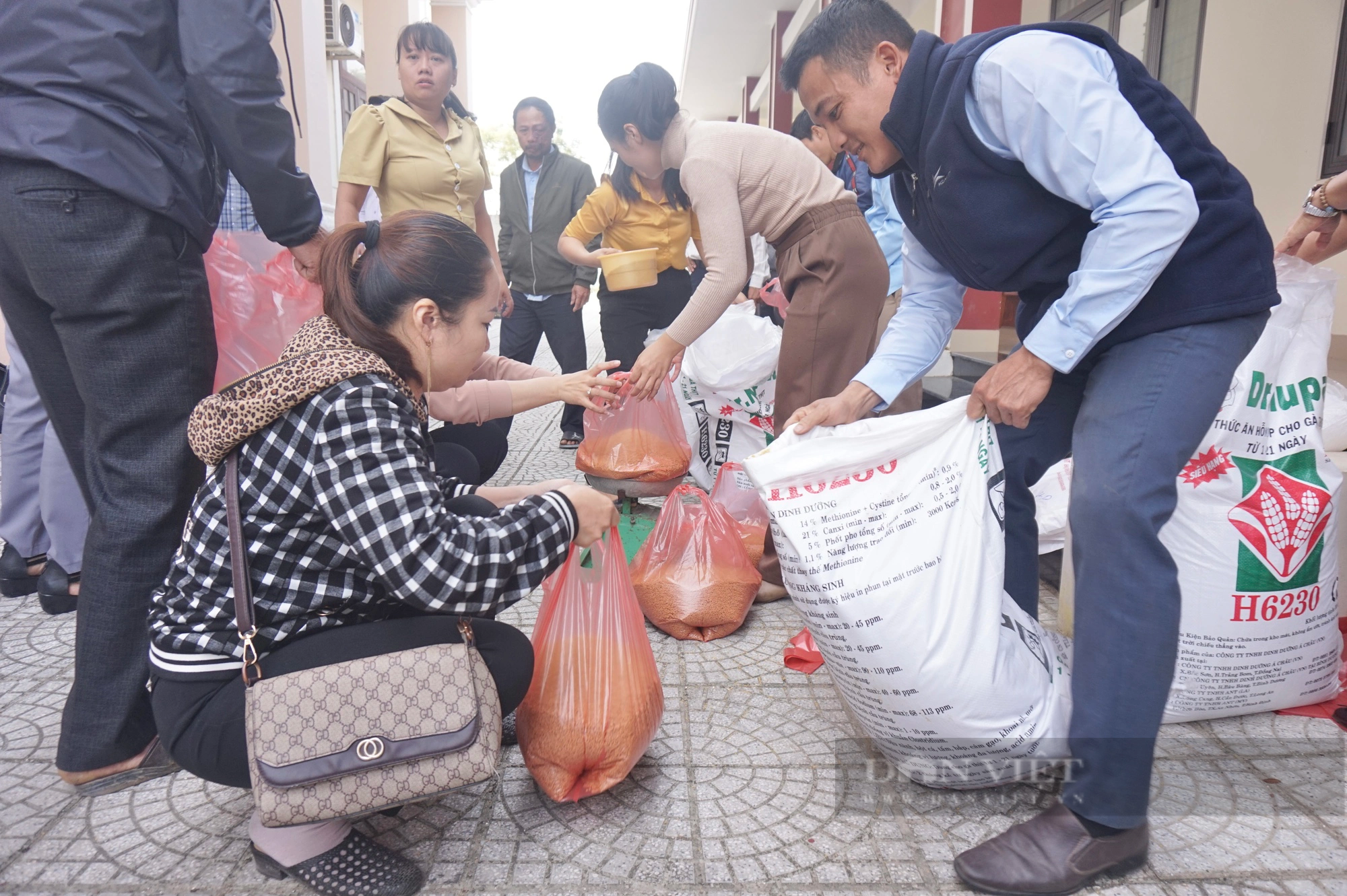 Đà Nẵng: Tổ chức bàn giao vật tư hỗ trợ nông dân nuôi sâu canxi và trùn quế - Ảnh 8.