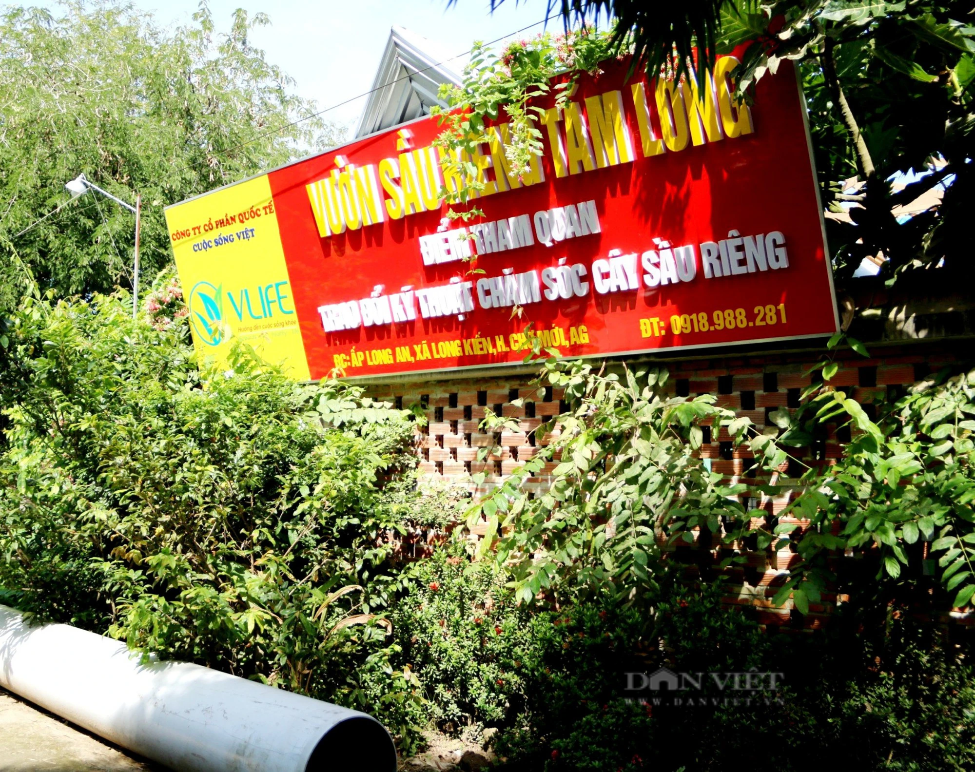 Quỹ hỗ trợ nông dân kịp thời tiếp sức nông dân trồng sầu riêng ở huyện Chợ Mới, tỉnh An Giang - Ảnh 4.