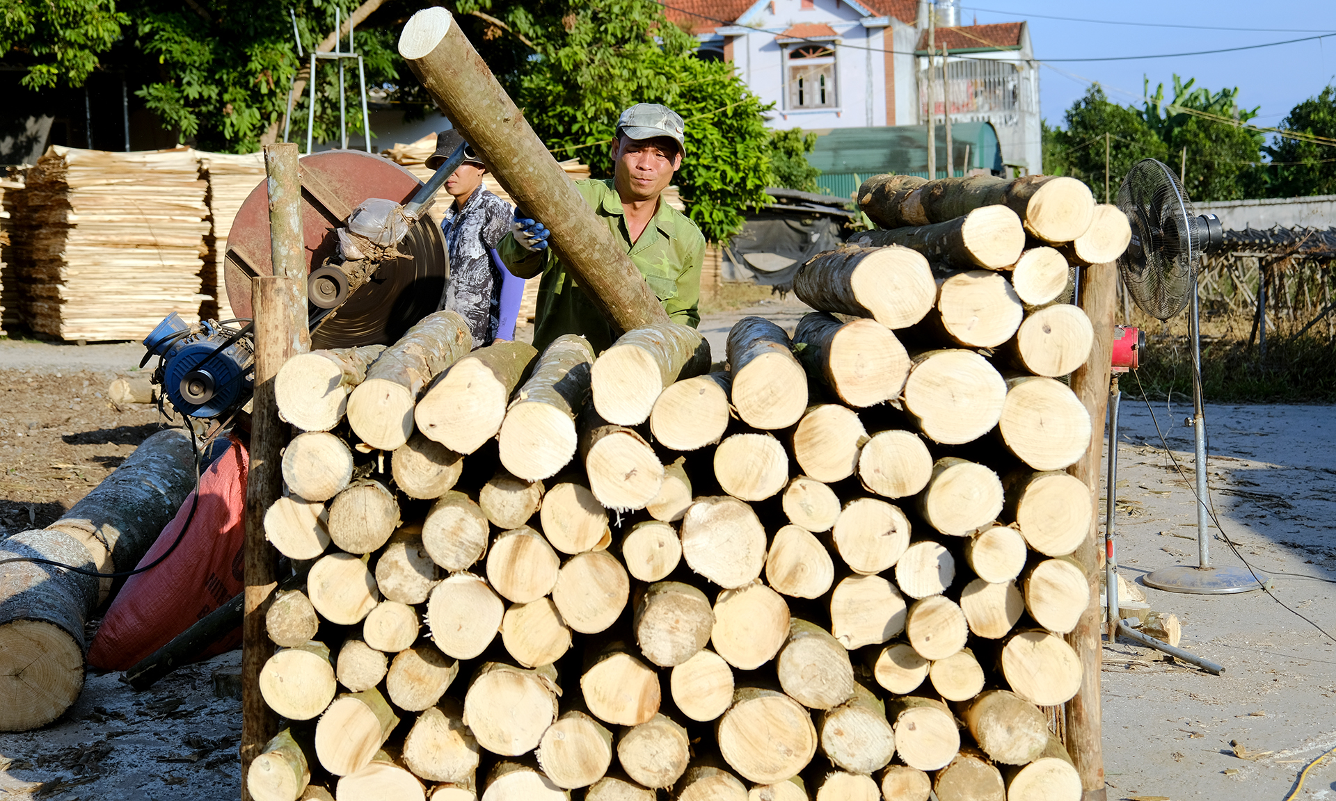 Khai mở 'kho vàng' tín chỉ carbon trong những cánh rừng ở miền Trung, Tây Nguyên - Ảnh 1.