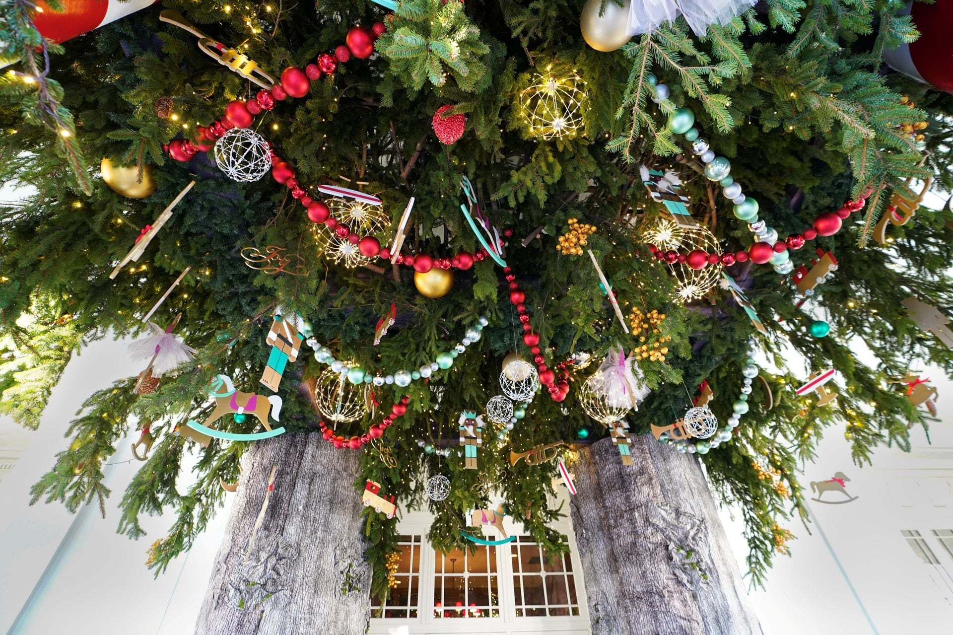 Nhà Trắng lung linh sắc màu đón Giáng sinh với 98 cây thông Noel và 140.000 bóng đèn - Ảnh 6.