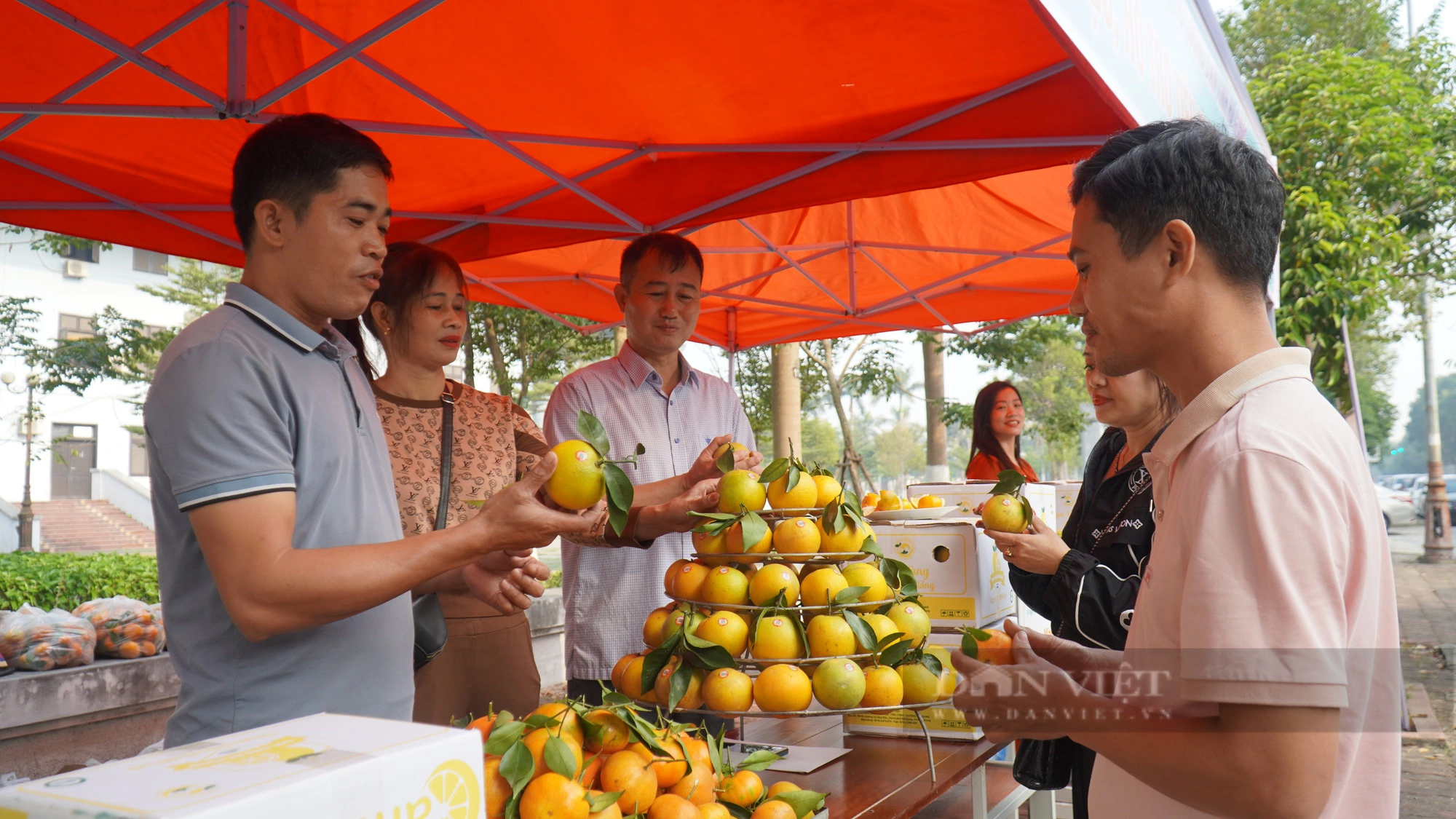 Hội Nông dân tỉnh Bắc Ninh hỗ trợ quảng bá, tiêu thụ cam vàng Hà Giang - Ảnh 1.