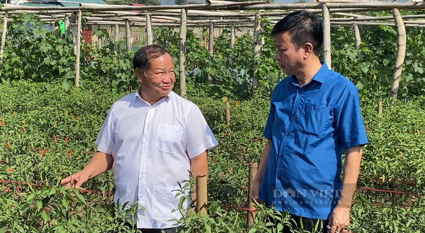 Phó Chủ tịch TW Hội nông dân Đinh Khắc Đính bàn giải pháp phát triển trồng mít với nông dân Lai Châu - Ảnh 4.