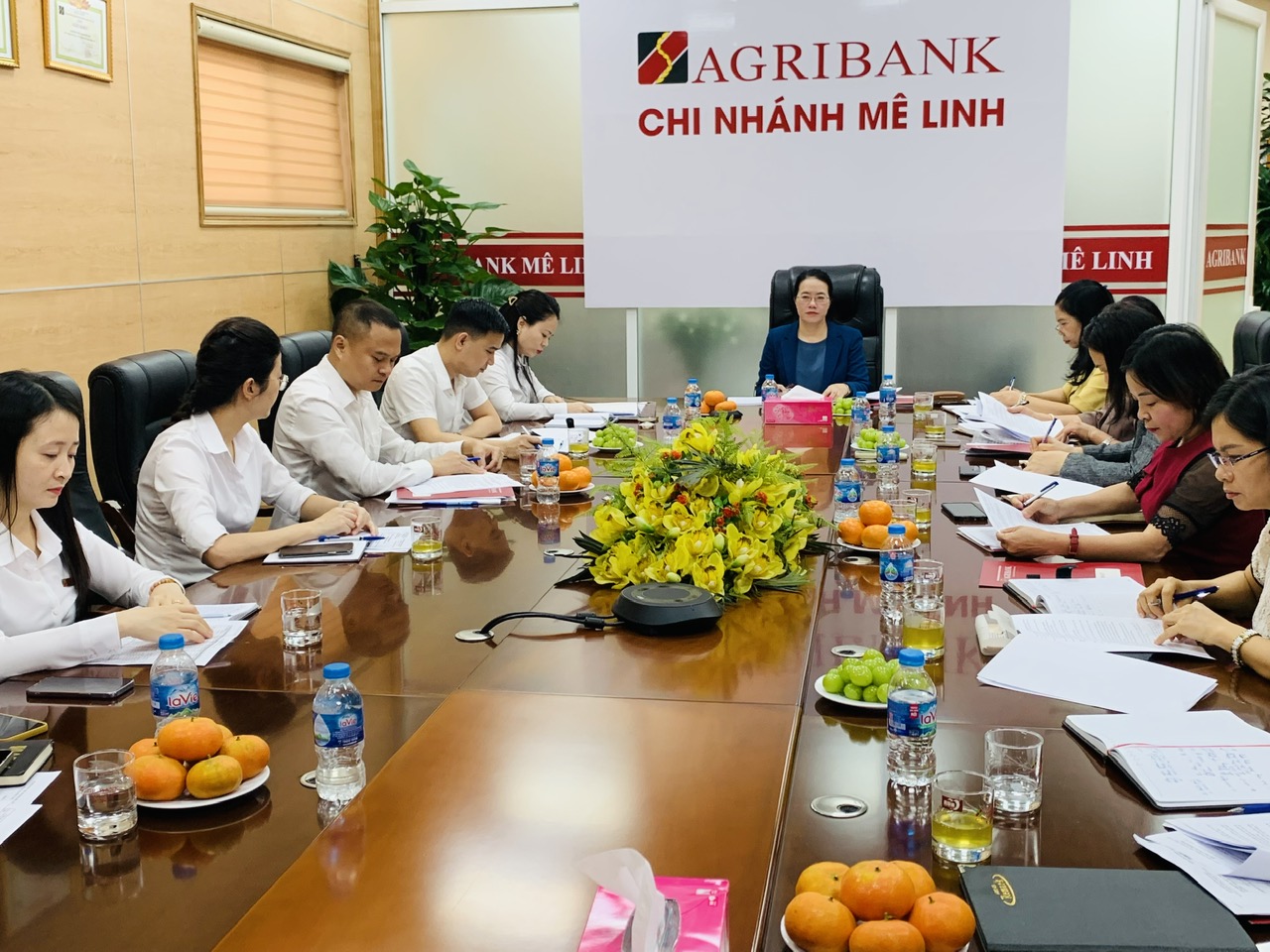 Hội Nông dân Hà Nội giám sát thực hiện chính sách tín dụng theo Nghị định số 55 của Chính phủ tại Mê Linh - Ảnh 1.
