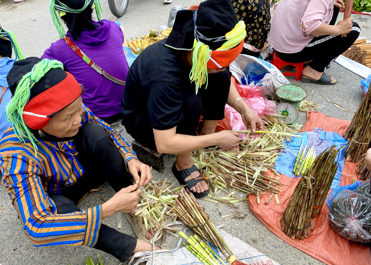 Loại rau rừng hình ngón tay xinh này ở Hà Giang, hễ hái được, chưa ra tới chợ đã hết sạch - Ảnh 1.