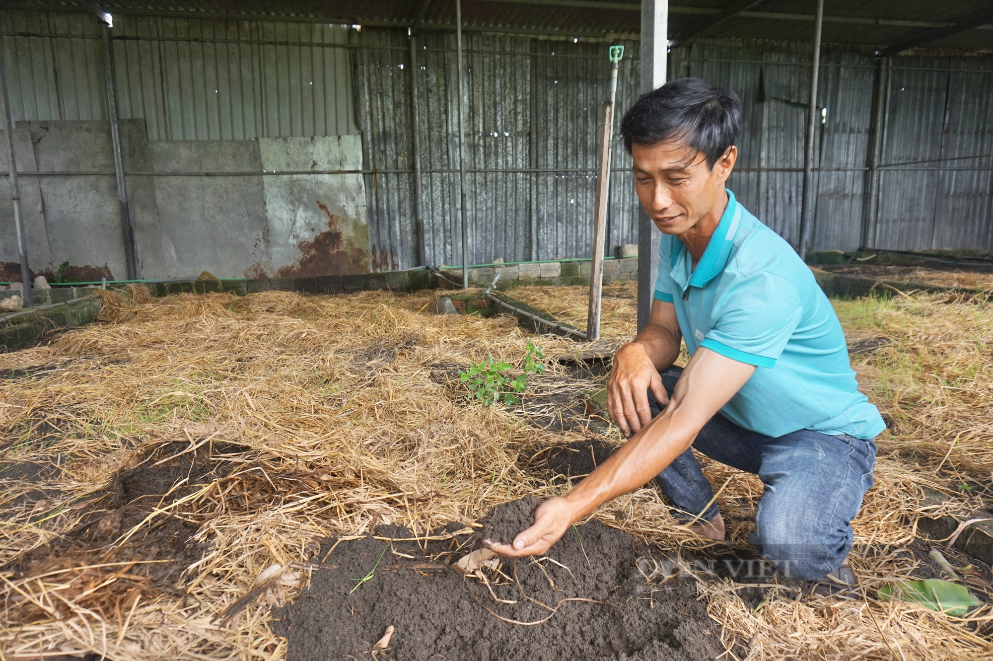 Cán bộ, hội viên nông dân Đà Nẵng tham quan mô hình nuôi trùn quế bảo vệ môi trường - Ảnh 2.