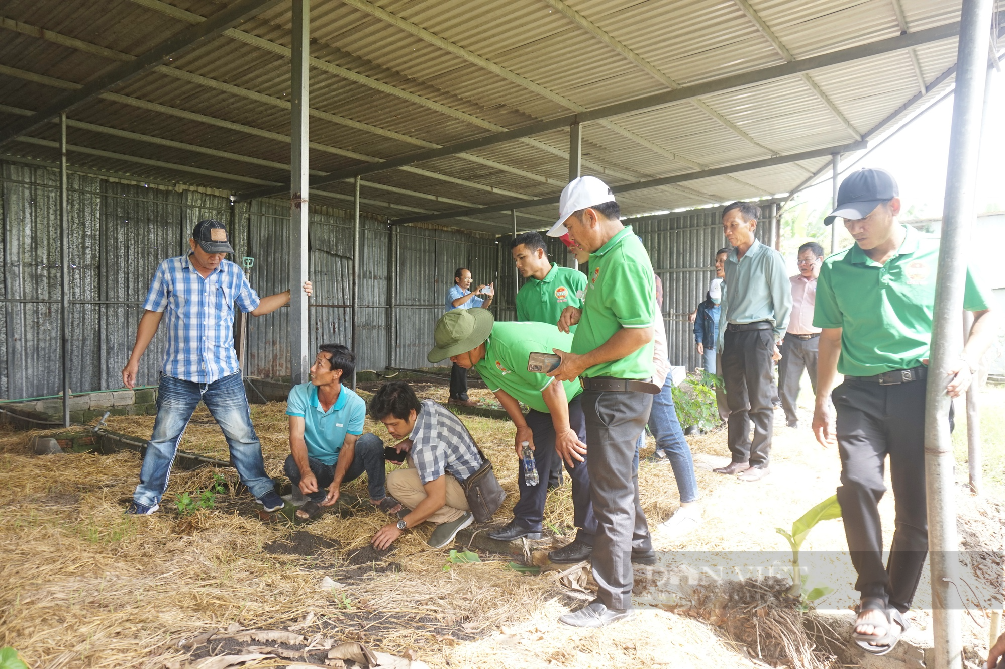 Cán bộ, hội viên nông dân Đà Nẵng tham quan mô hình nuôi trùn quế bảo vệ môi trường - Ảnh 4.