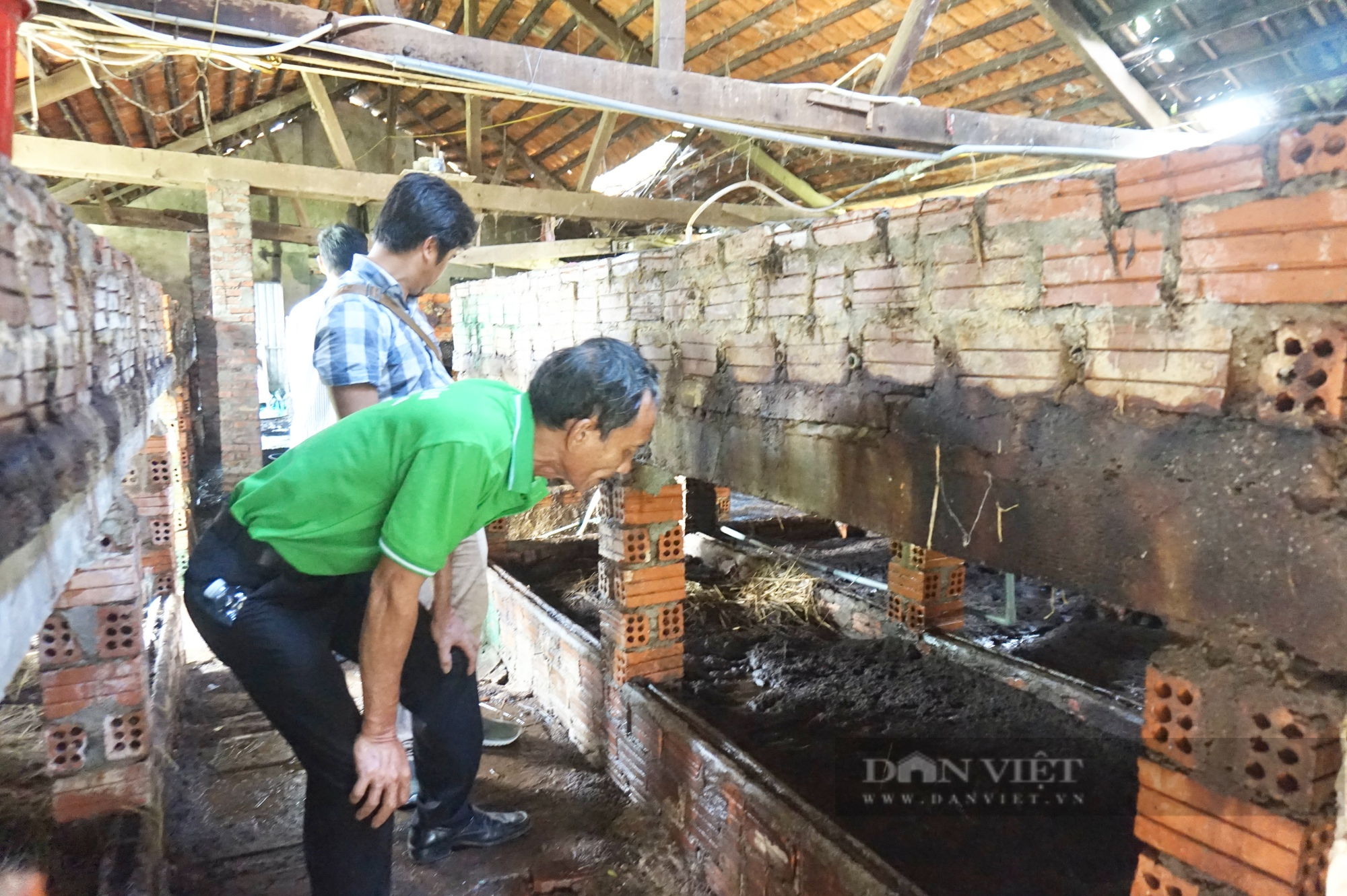 Cán bộ, hội viên nông dân Đà Nẵng tham quan mô hình nuôi trùn quế bảo vệ môi trường - Ảnh 7.