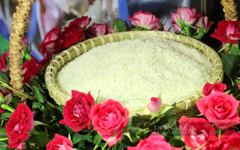 Festival Quốc tế ngành hàng lúa gạo Việt Nam - Hậu Giang 2023 có chủ đề Green Rice for Life - Gạo Xanh, Sống Lành. Ảnh: Trần Khánh