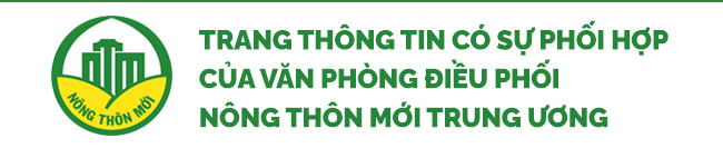 Cộng đồng người Chăm xã Phú Lạc ở Bình Thuận cùng nhau làm nông thôn mới, tăng thu nhập - Ảnh 9.