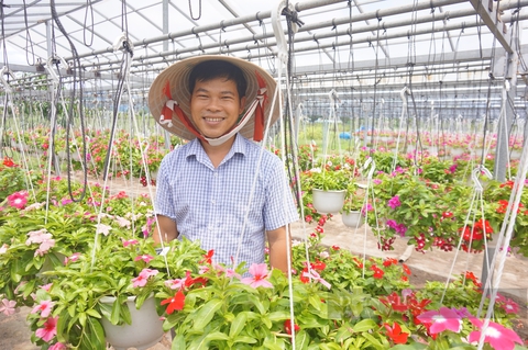 Quỹ hỗ trợ nông dân: Điểm tựa cho nông dân Đà Nẵng phát triển kinh tế - Ảnh 1.