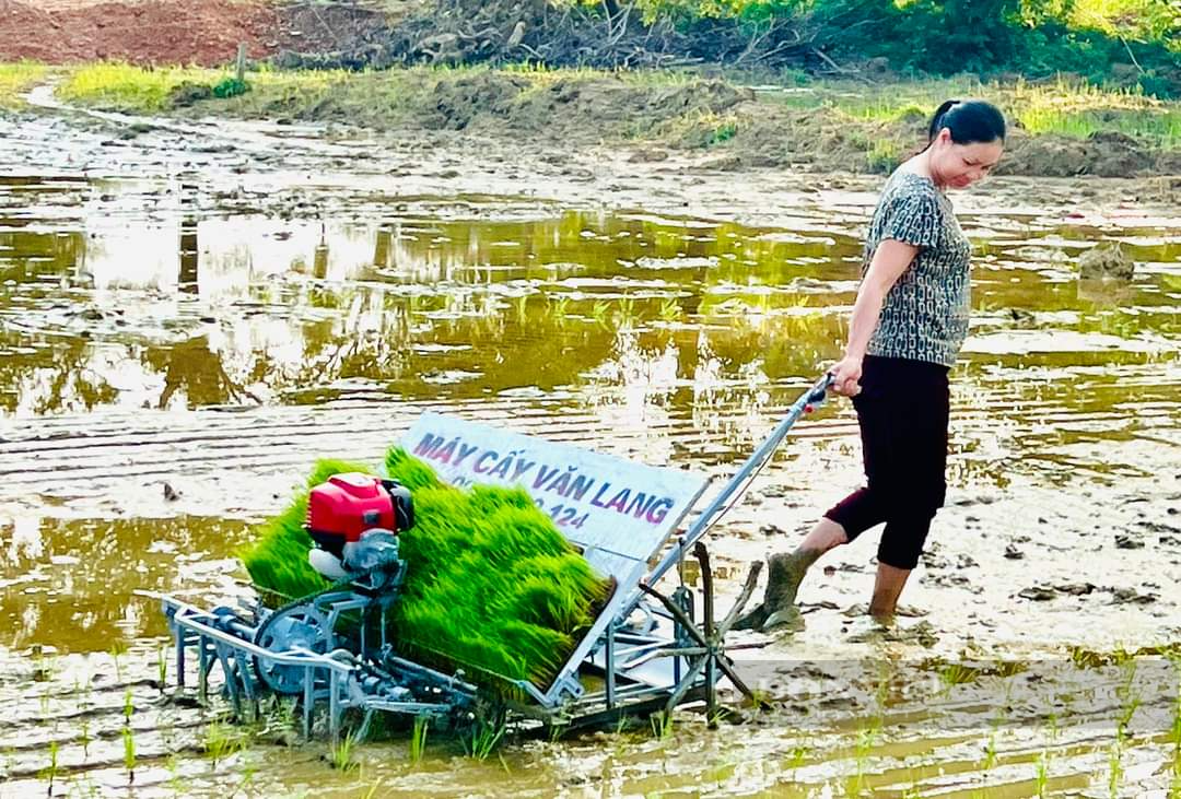Huyện Hương Sơn (Hà Tĩnh) tăng cường đẩy mạnh cơ giới hóa trong sản xuất nông nghiệp - Ảnh 5.