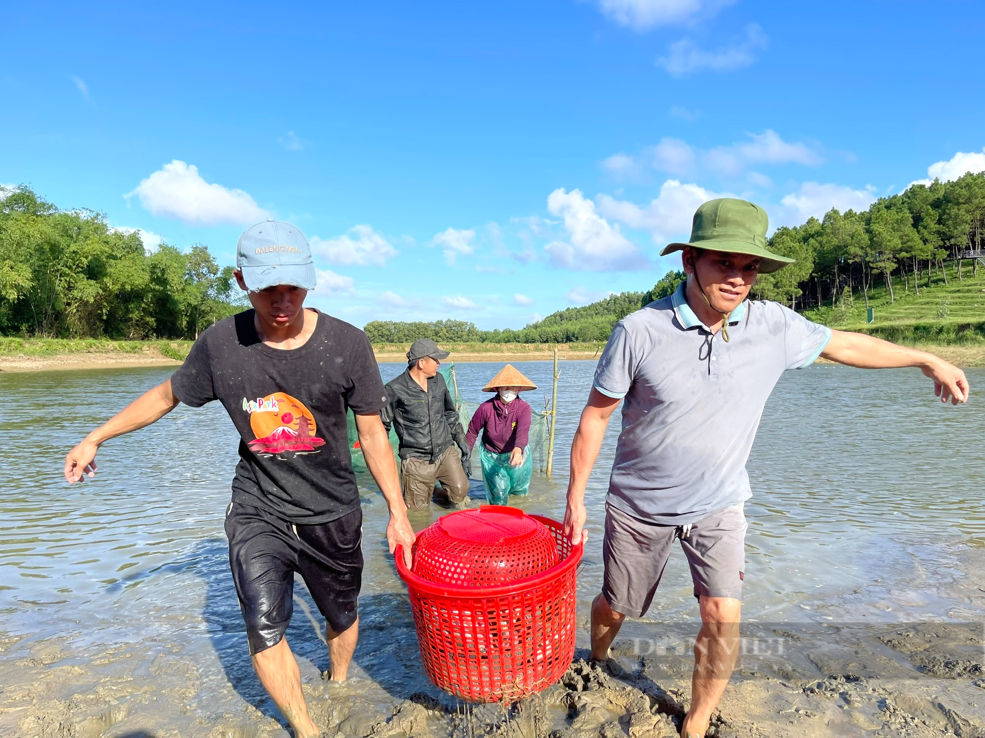 Xem nông dân Quảng Bình kéo lưới bắt cá diêu hồng, vớt lên toàn con to bự, thu về gần 300 triệu đồng - Ảnh 3.
