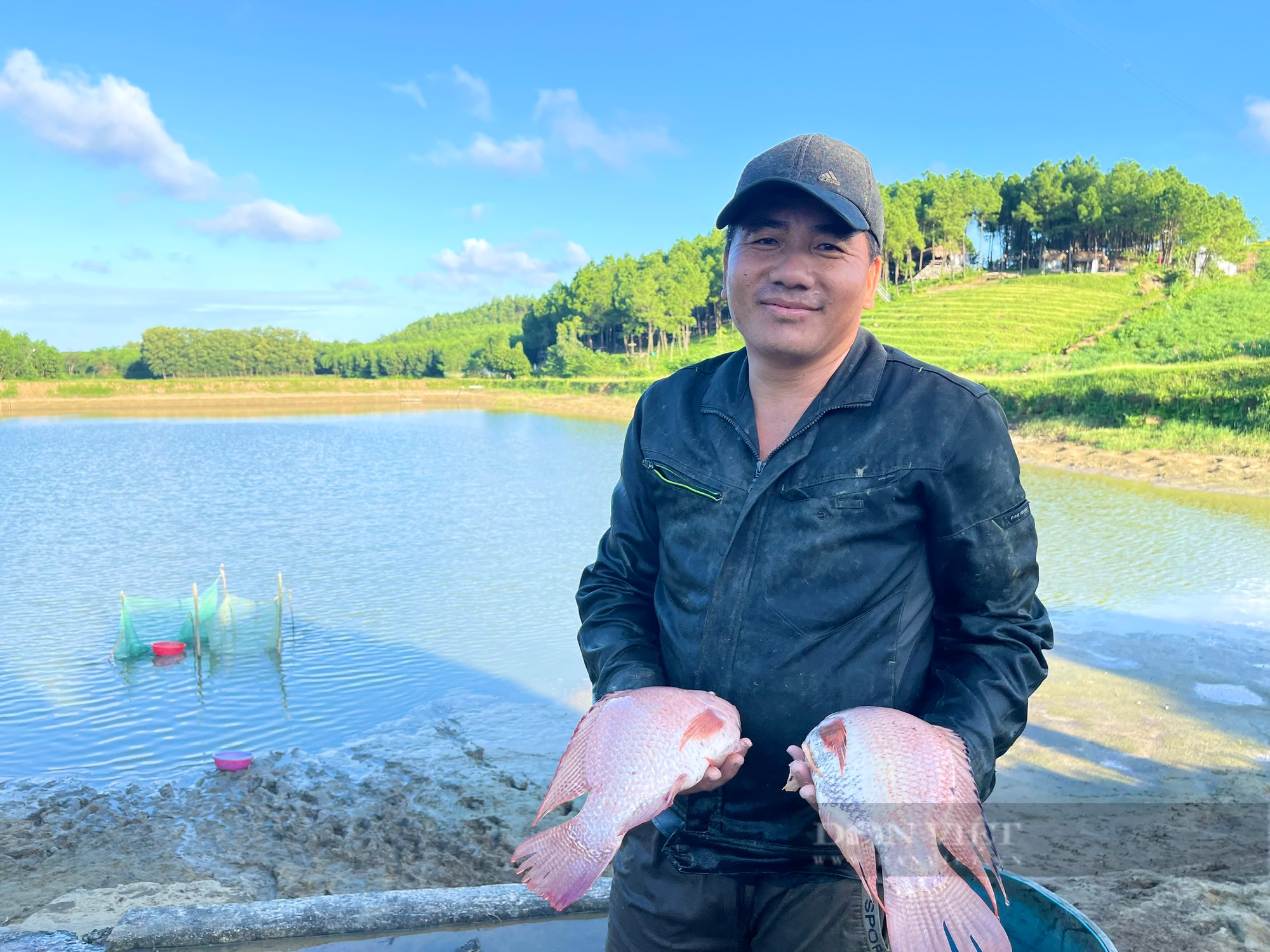 Xem nông dân Quảng Bình kéo lưới bắt cá diêu hồng, vớt lên toàn con to bự, thu về gần 300 triệu đồng - Ảnh 4.