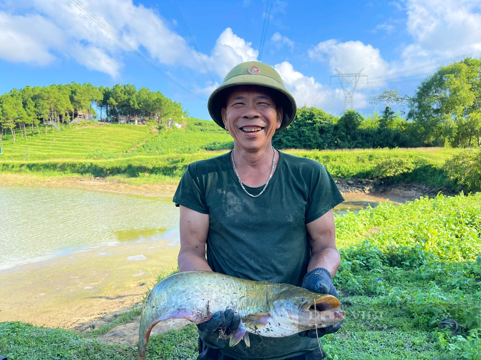 Xem nông dân Quảng Bình kéo lưới bắt cá diêu hồng, vớt lên toàn con to bự, thu về gần 300 triệu đồng - Ảnh 6.