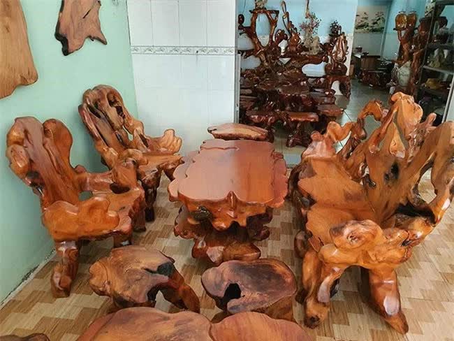 Ở Việt Nam có loại gỗ được xem là “báu vật”, giá cả tỷ đồng, thương lái Trung Quốc săn lùng ráo riết - Ảnh 9.