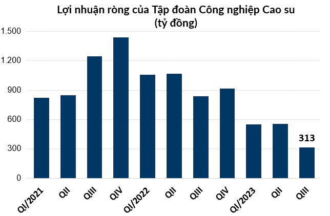 Tập đoàn Công nghiệp Cao su Việt Nam (GVR) sắp chi 1.400 tỷ trả cổ tức - Ảnh 2.