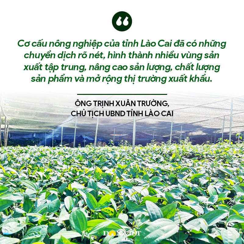 Chủ tịch UBND tỉnh Lào Cai: Sát dân, gần cơ sở để thay đổi cách nghĩ, cách làm của người nông dân - Ảnh 7.