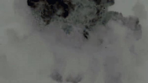 UAV sát thủ MQ-9 của Mỹ quần thảo trên Dải Gaza để làm gì? - Ảnh 20.
