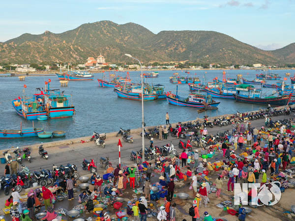 Chợ cá 100 tuổi bên một cái đầm nước rộng 12.000ha ở Ninh Thuận, trên trời xanh, dưới cá tôm, người tấp nập - Ảnh 1.