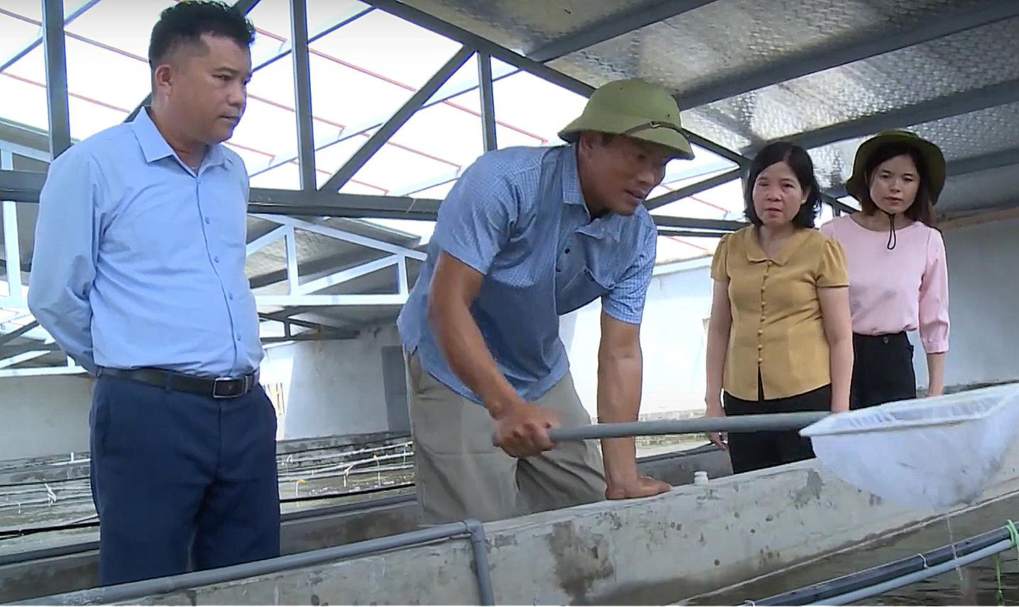 Một huyện ở Nam Định có nhiều nông dân triệu USD nhờ nuôi tôm công nghệ cao - Ảnh 7.