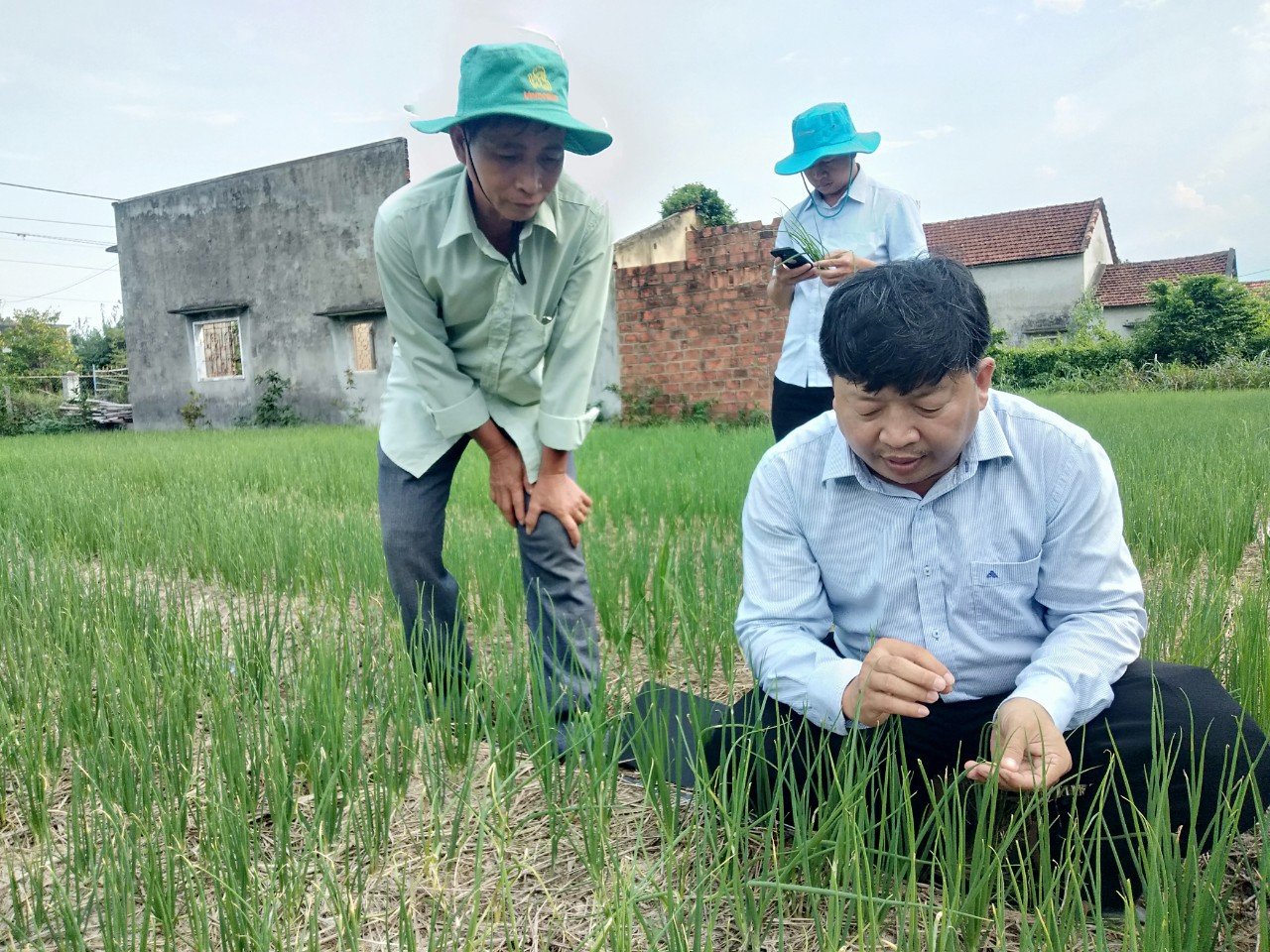 Đào tạo nghề tại ruộng vườn, nông dân Bình Định thu hiệu quả thiết thực - Ảnh 2.