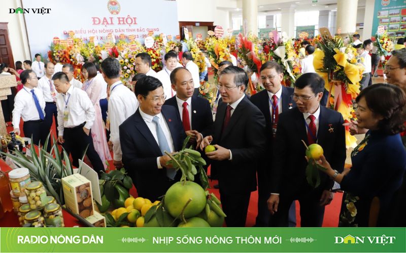 Nhịp sống Nông thôn mới ngày 06/11/2023 - Ảnh 1.