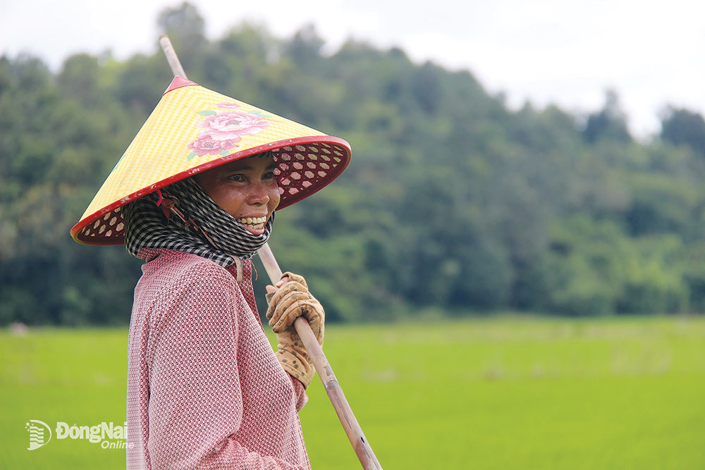 Ở một huyện của Đồng Nai có cánh đồng châu Âu đang hot, xen những cây cổ thụ, cánh đồng này ở đâu? - Ảnh 2.