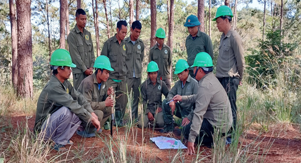 Chi trả dịch vụ môi trường rừng ở Lâm Đồng: Giúp tăng thu nhập cho hộ nhận khoán bảo vệ rừng - Ảnh 1.