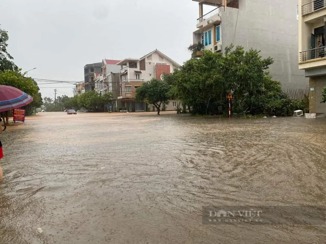 Bất ngờ mưa lớn, sấm sét làm hàng trăm cây khu di tích, điện, đường, trường trạm tốc mái - Ảnh 2.