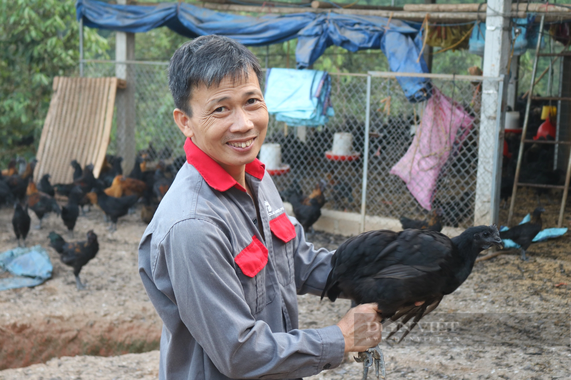 Một Giám đốc HTX ở Lào Cai thành tỷ phú nhờ nuôi gà thả vườn - Ảnh 6.