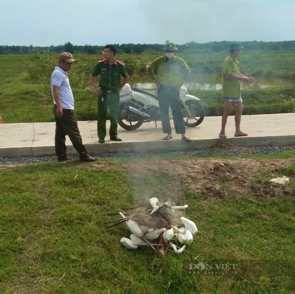 Quảng Bình: Quyết chặn nạn &quot;tận diệt&quot; chim trời, thu, tiêu hủy bẫy ngay tại chỗ - Ảnh 5.