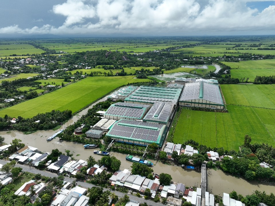 Nông nghiệp, sản xuất bền vững hút mạnh dòng vốn đầu tư 'khủng' từ Hà Lan - Ảnh 1.