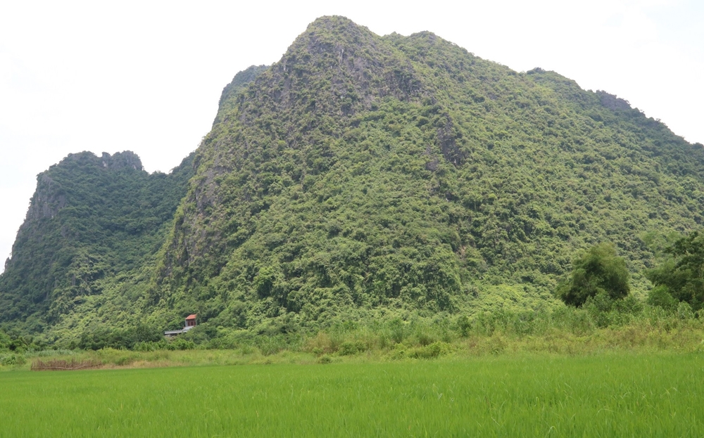 Ở Hạ Long của Quảng Ninh có hai ngọn núi hình thù gần y hệt nhau, ví cặp song sinh, đó là 2 núi nào? - Ảnh 1.