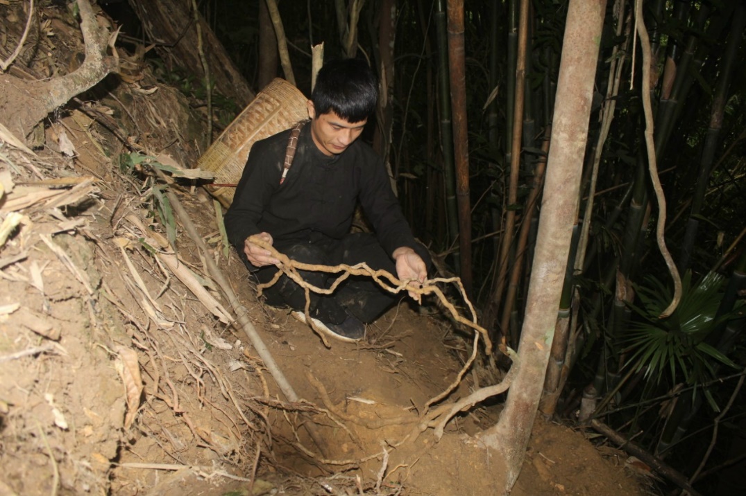 Kháu Vài Lèng sản phẩm OCOP tiềm năng của Hà Giang - Ảnh 1.