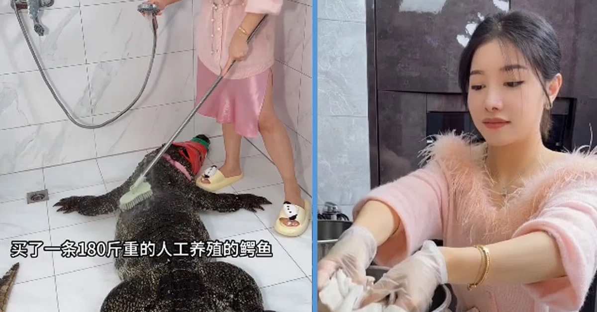 Nữ vlogger ẩm thực bị chỉ trích vì mổ cá sấu nặng 90kg để 'câu view' - Ảnh 1.