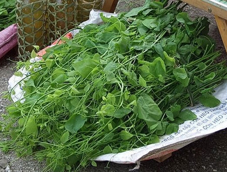 Bốn loại rau rừng ở Cao Bằng ăn ngon miệng, bổ thần kinh, giàu chất khoáng, hễ có là bán hết sạch - Ảnh 2.