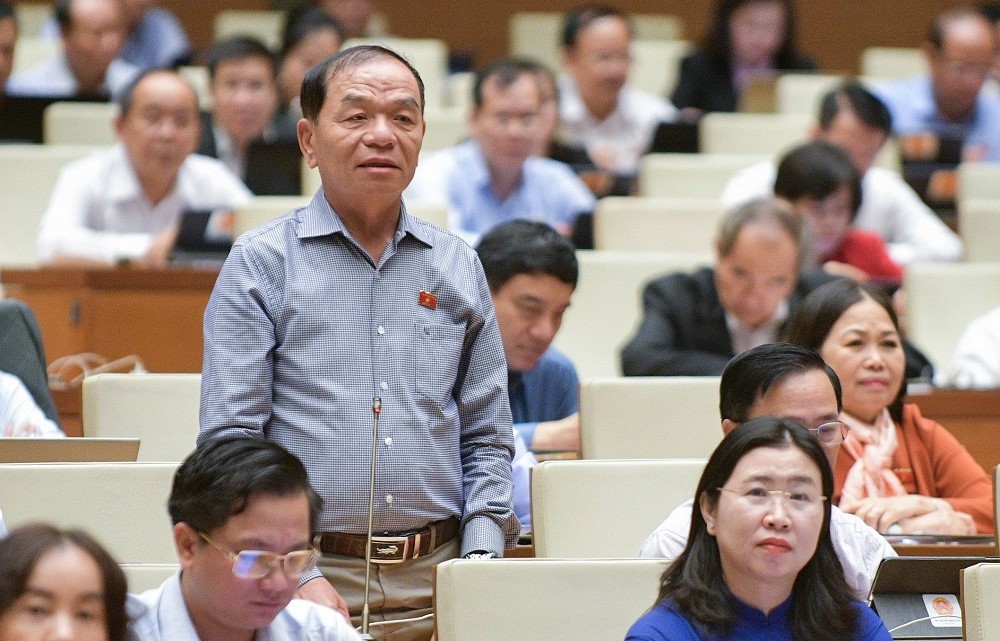 Đại biểu Quốc hội đề nghị Tổng thanh tra Chính phủ “nhận trách nhiệm trước hậu quả việc làm sai gây ra” - Ảnh 1.