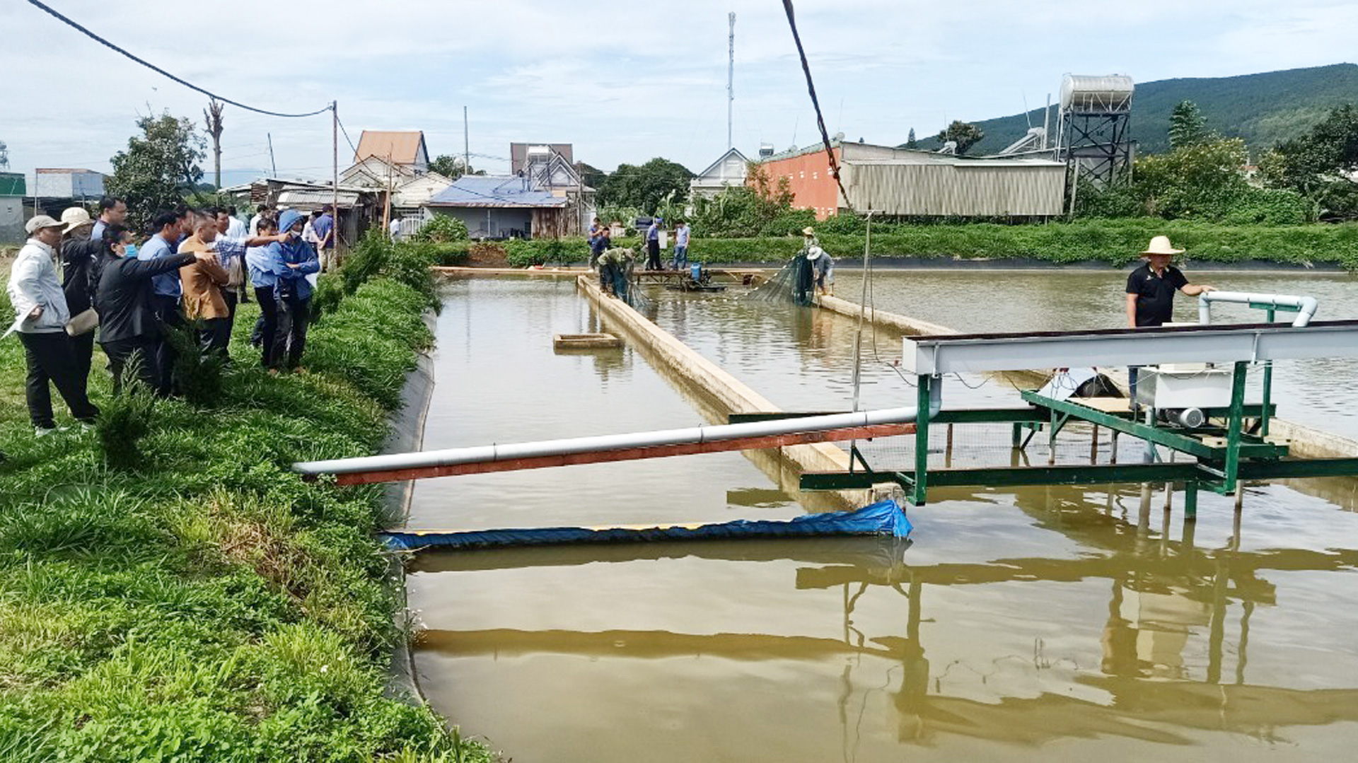 Nuôi cá đặc sản công nghệ &quot;sông trong ao&quot; ở Lâm Đồng kiểu gì mà nhiều người đang đến xem - Ảnh 1.