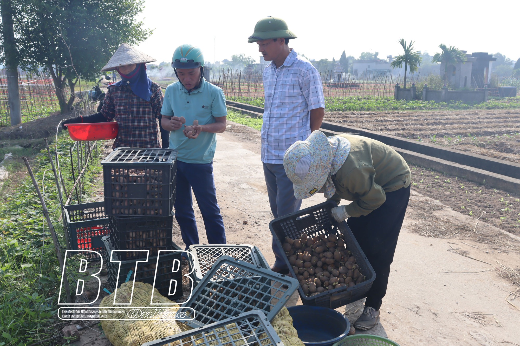 Một huyện của tỉnh Thái Bình, nông dân hào hứng tăng  - Ảnh 2.