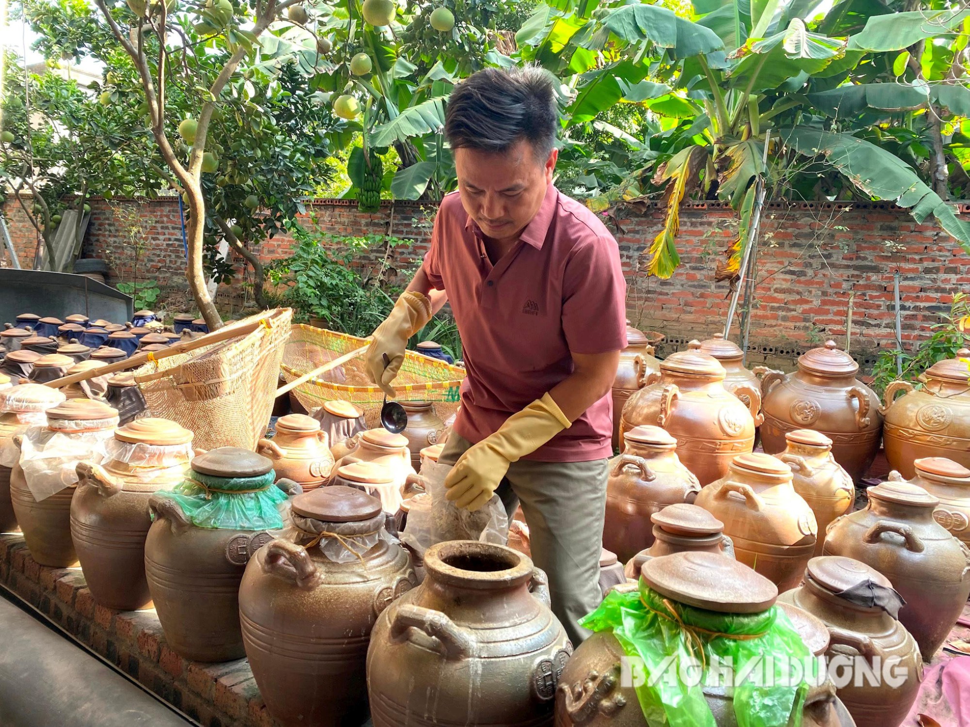 Về Hải Dương, thưởng thức hương vị đặc sản mắm cáy ngày phơi nắng, đêm phơi sương cực đỉnh - Ảnh 1.