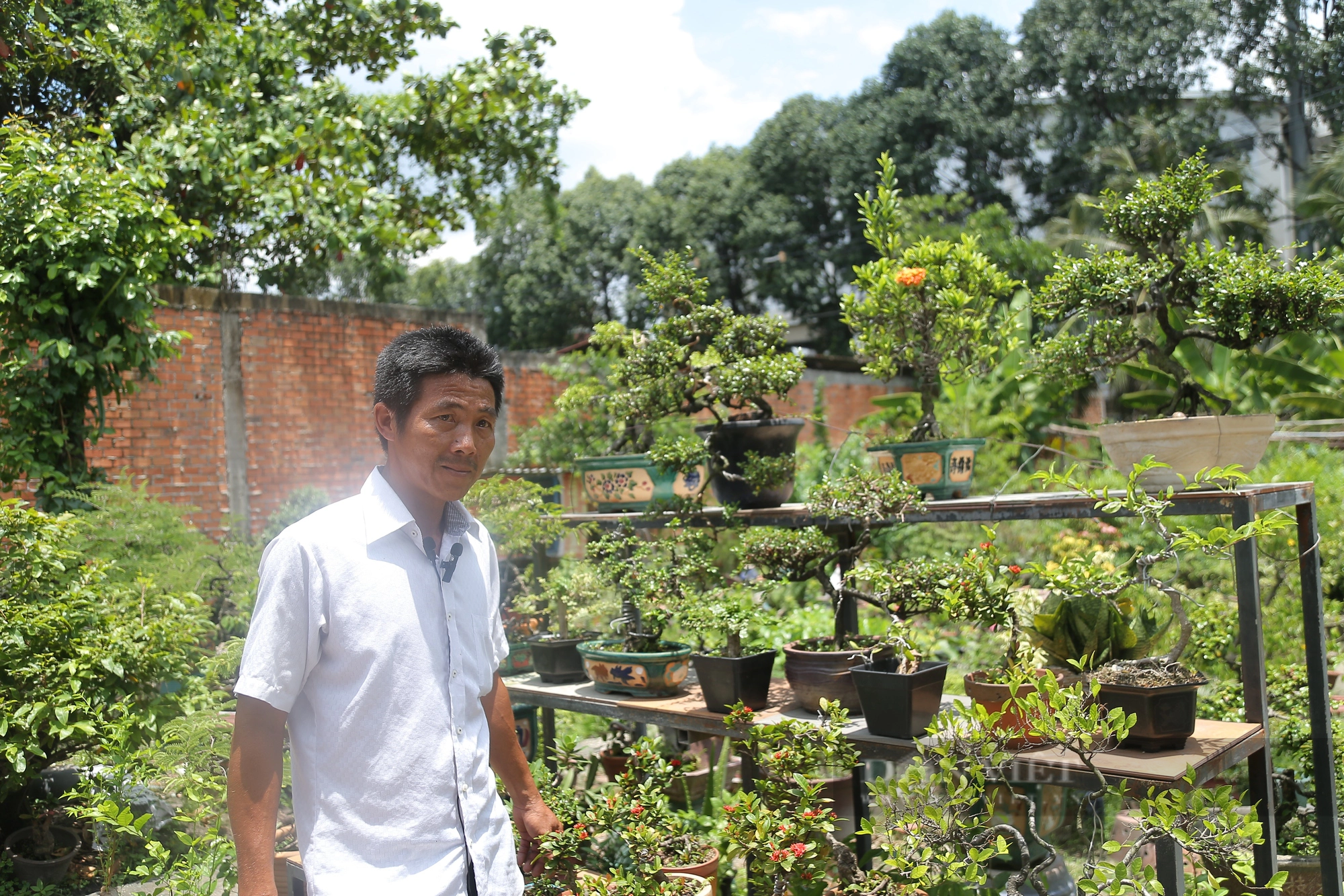 Trồng cây văn phòng độc lạ, nông dân Thủ Đức đua nhau làm giàu, thu nhập hàng tỷ mỗi năm - Ảnh 3.